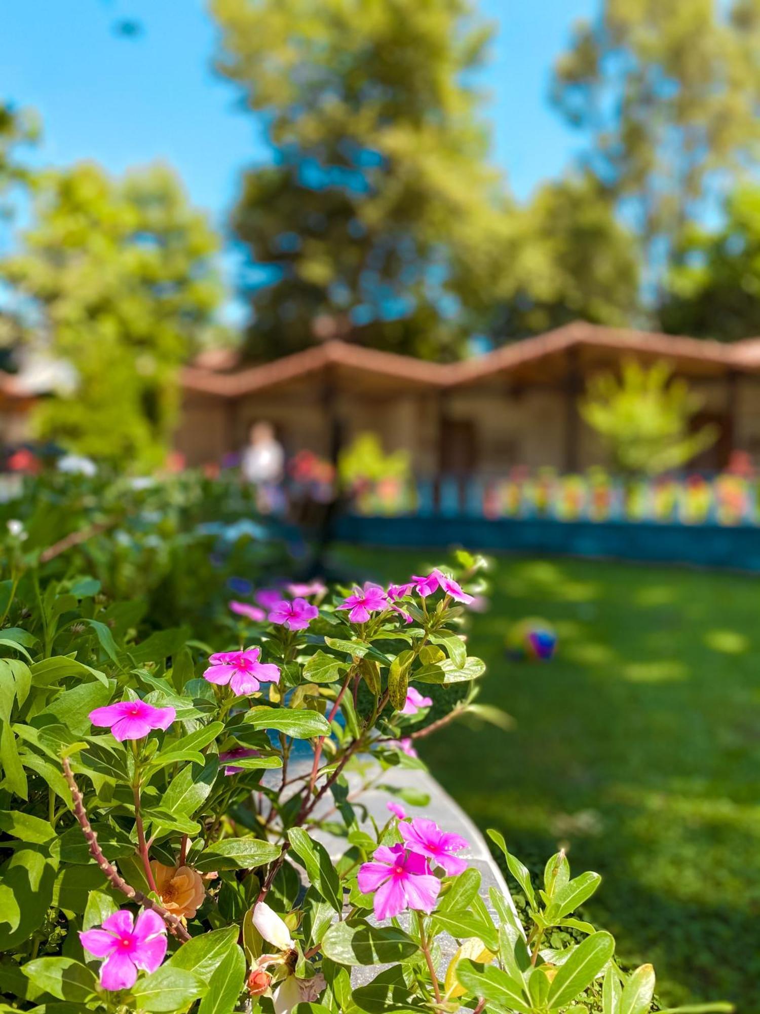 Likya Adrasan Hotel Exterior photo
